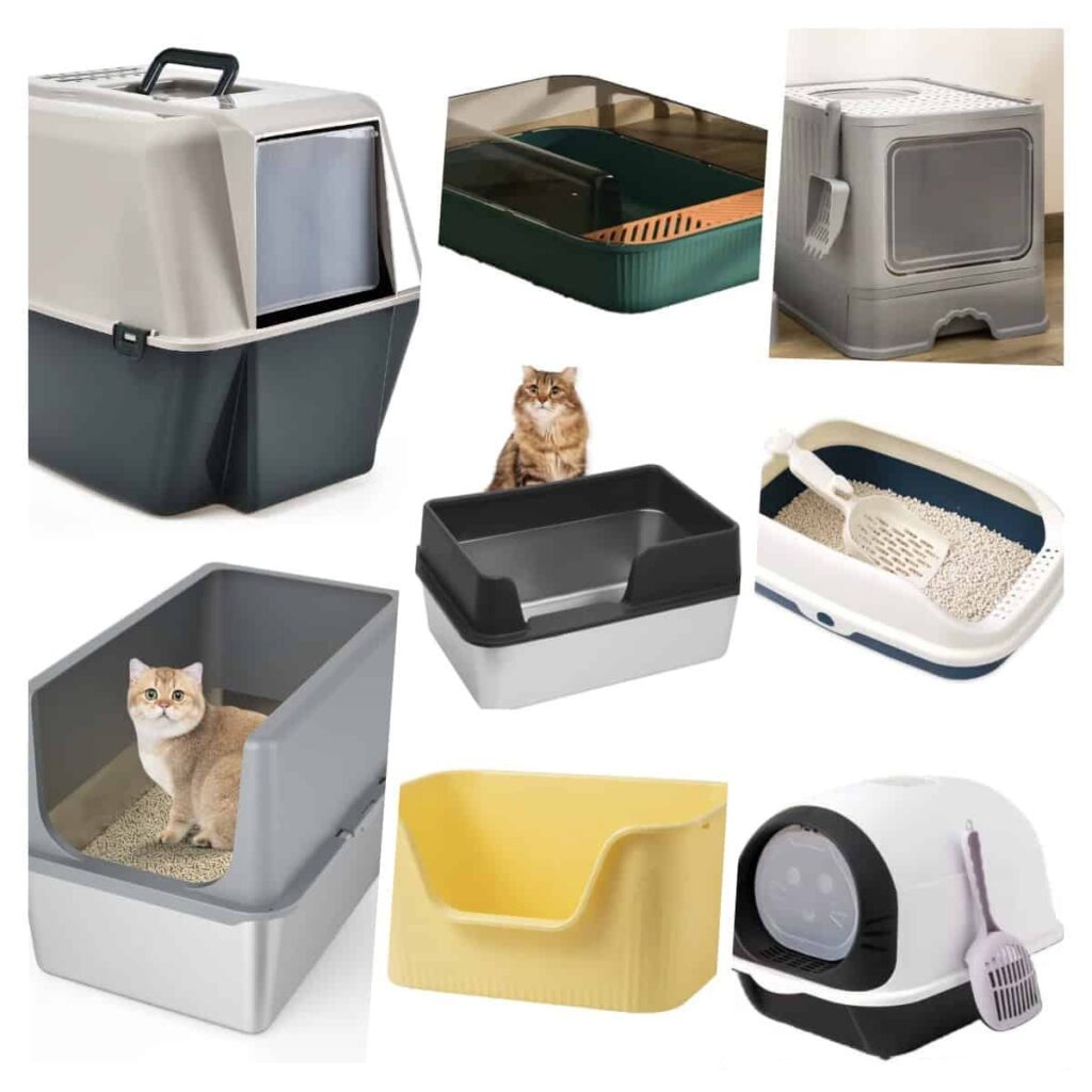 Cats litter box